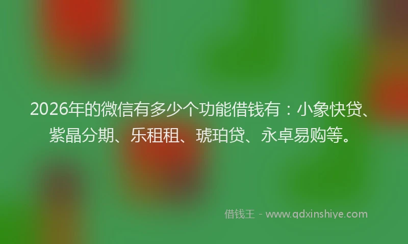 2026年的微信有多少个功能借钱有：小象快贷、紫晶分期、乐租租、琥珀贷、永卓易购等。