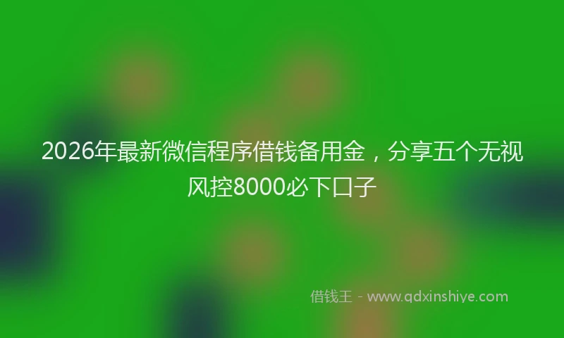 2026年最新微信程序借钱备用金，分享五个无视风控8000必下口子