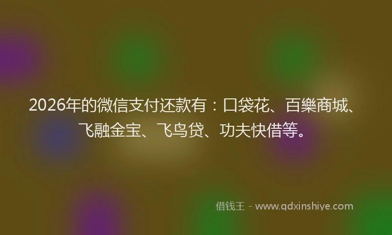 2026年的微信支付还款有：口袋花、百樂商城、飞融金宝、飞鸟贷、功夫快借等。