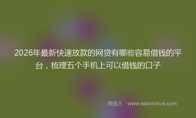 2026年最新快速放款的网贷有哪些容易借钱的平台，梳理五个手机上可以借钱的口子