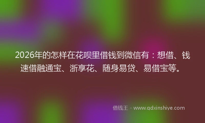 2026年的怎样在花呗里借钱到微信有：想借、钱速借融通宝、浙享花、随身易贷、易借宝等。