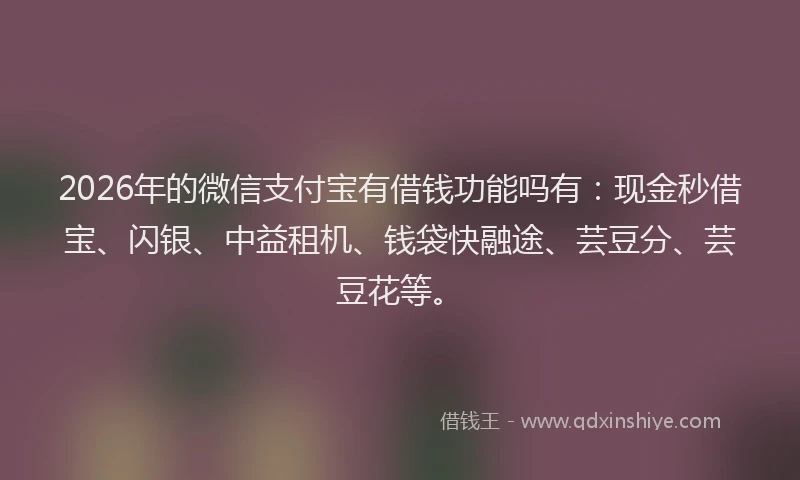 2026年的微信支付宝有借钱功能吗有：现金秒借宝、闪银、中益租机、钱袋快融途、芸豆分、芸豆花等。