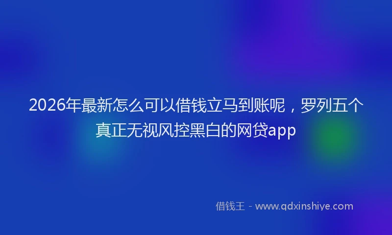 2026年最新怎么可以借钱立马到账呢，罗列五个真正无视风控黑白的网贷app