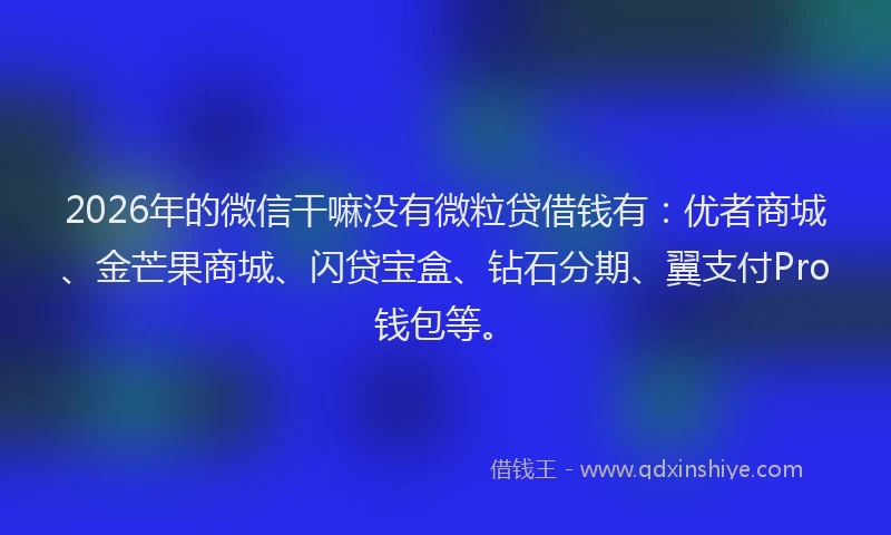 2026年的微信干嘛没有微粒贷借钱有：优者商城、金芒果商城、闪贷宝盒、钻石分期、翼支付Pro钱包等。