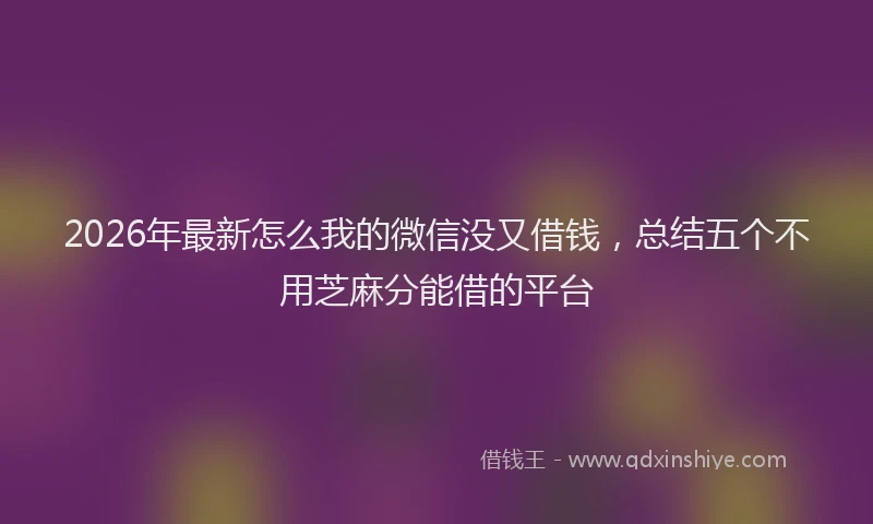 2026年最新怎么我的微信没又借钱，总结五个不用芝麻分能借的平台