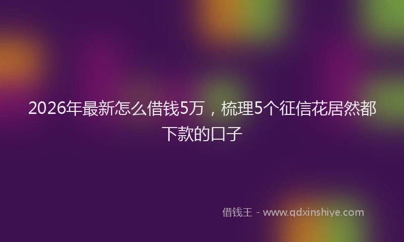 2026年最新怎么借钱5万，梳理5个征信花居然都下款的口子