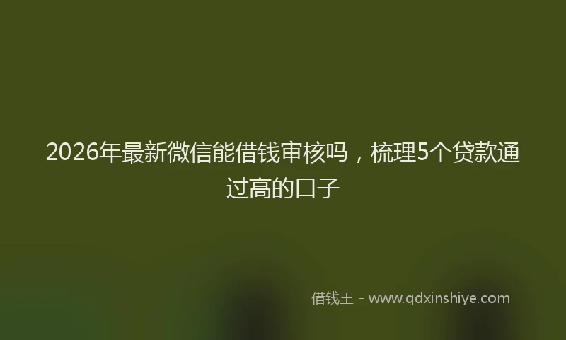 2026年最新微信能借钱审核吗，梳理5个贷款通过高的口子