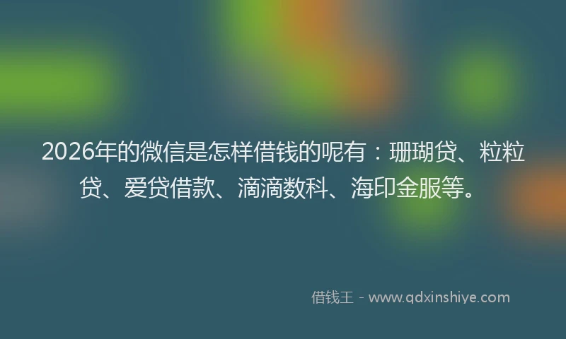 2026年的微信是怎样借钱的呢有：珊瑚贷、粒粒贷、爱贷借款、滴滴数科、海印金服等。