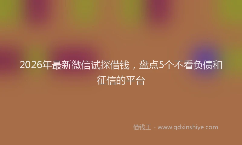 2026年最新微信试探借钱，盘点5个不看负债和征信的平台