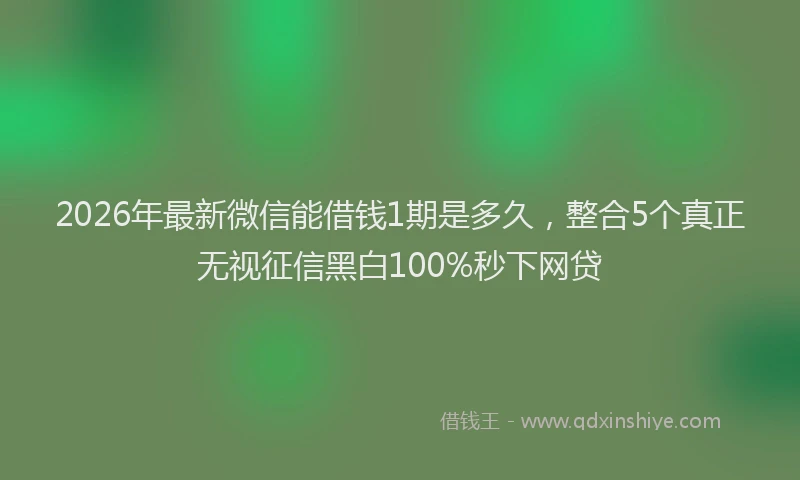 2026年最新微信能借钱1期是多久，整合5个真正无视征信黑白100%秒下网贷