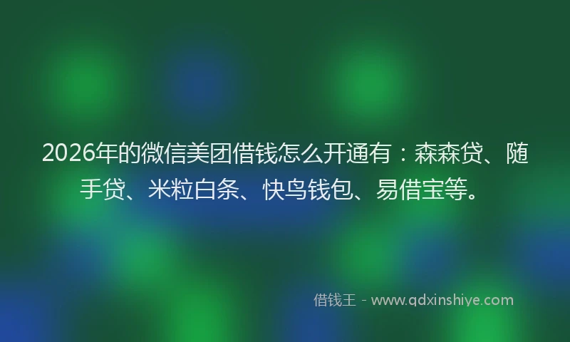 2026年的微信美团借钱怎么开通有：森森贷、随手贷、米粒白条、快鸟钱包、易借宝等。
