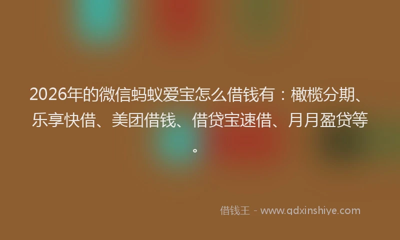 2026年的微信蚂蚁爱宝怎么借钱有：橄榄分期、乐享快借、美团借钱、借贷宝速借、月月盈贷等。