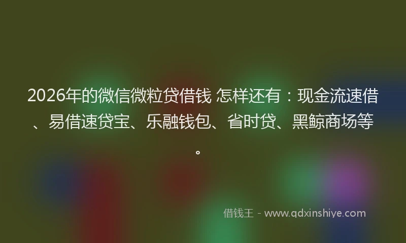2026年的微信微粒贷借钱 怎样还有：现金流速借、易借速贷宝、乐融钱包、省时贷、黑鲸商场等。
