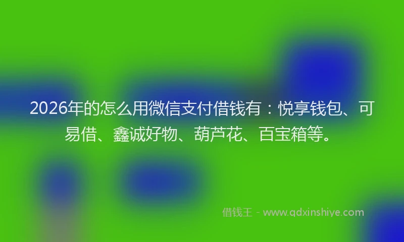 2026年的怎么用微信支付借钱有：悦享钱包、可易借、鑫诚好物、葫芦花、百宝箱等。