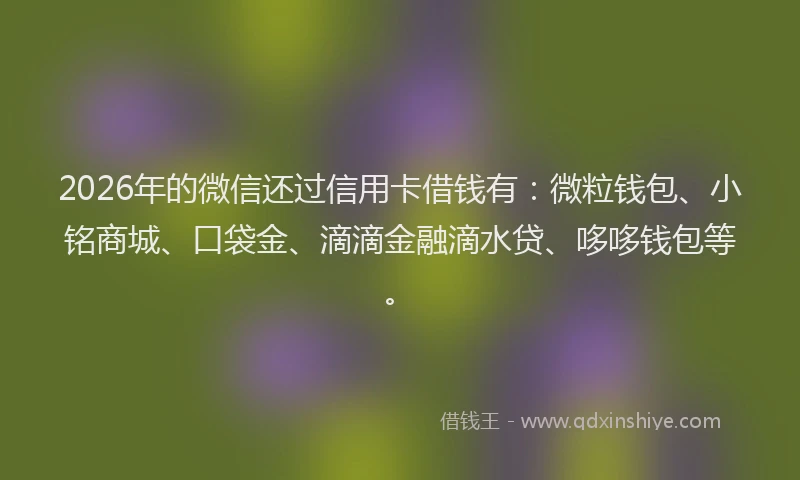2026年的微信还过信用卡借钱有：微粒钱包、小铭商城、口袋金、滴滴金融滴水贷、哆哆钱包等。