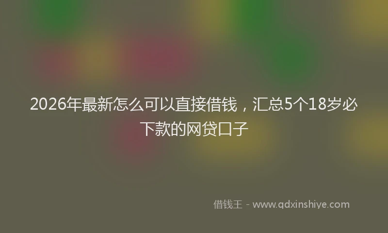 2026年最新怎么可以直接借钱，汇总5个18岁必下款的网贷口子