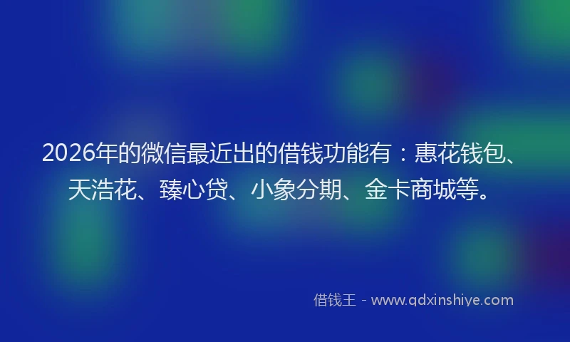 2026年的微信最近出的借钱功能有：惠花钱包、天浩花、臻心贷、小象分期、金卡商城等。