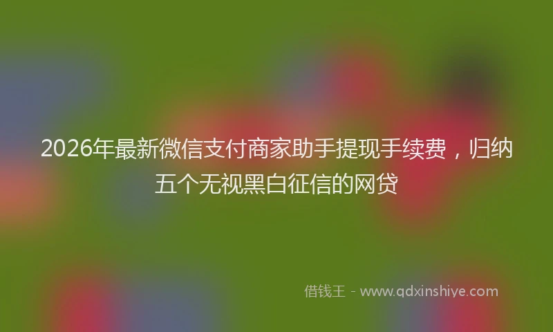 2026年最新微信支付商家助手提现手续费，归纳五个无视黑白征信的网贷