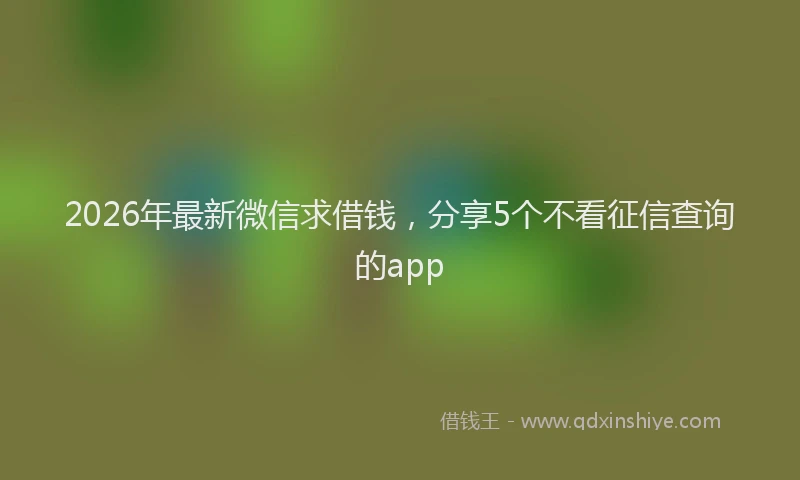 2026年最新微信求借钱，分享5个不看征信查询的app