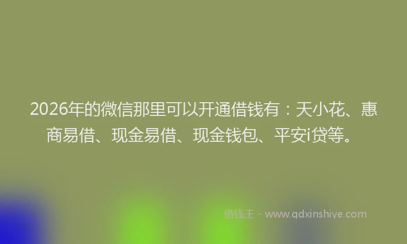 2026年的微信那里可以开通借钱有：天小花、惠商易借、现金易借、现金钱包、平安i贷等。