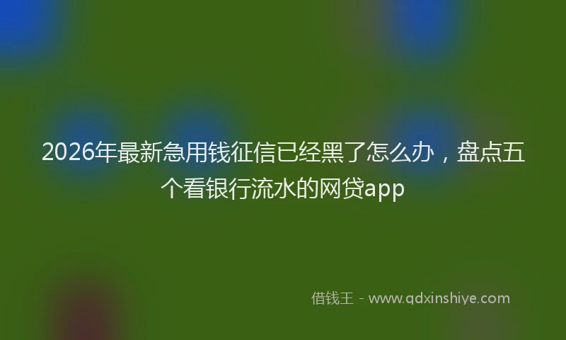 2026年最新急用钱征信已经黑了怎么办，盘点五个看银行流水的网贷app
