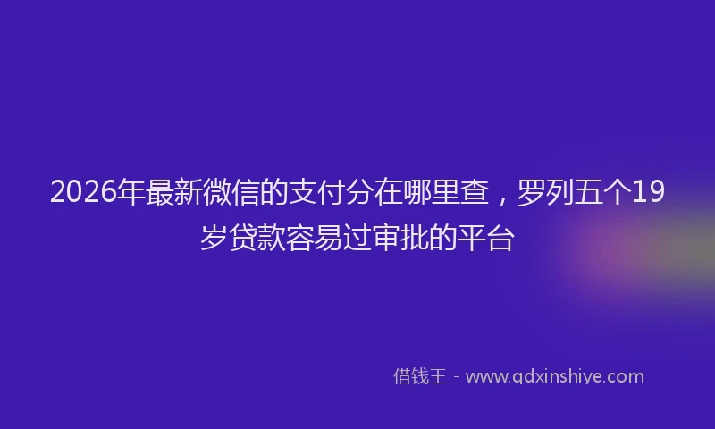 2026年最新微信的支付分在哪里查，罗列五个19岁贷款容易过审批的平台