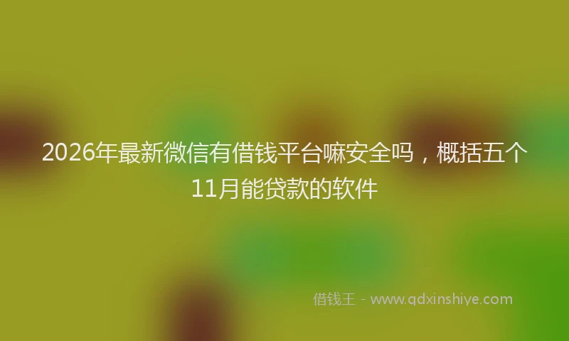 2026年最新微信有借钱平台嘛安全吗，概括五个11月能贷款的软件