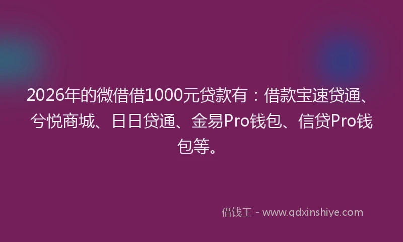 2026年的微借借1000元贷款有：借款宝速贷通、兮悦商城、日日贷通、金易Pro钱包、信贷Pro钱包等。