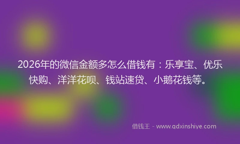 2026年的微信金额多怎么借钱有：乐享宝、优乐快购、洋洋花呗、钱站速贷、小鹅花钱等。