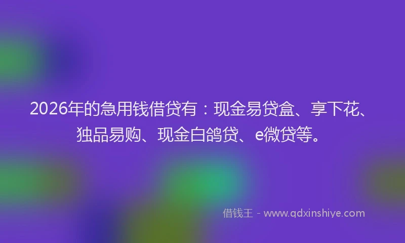 2026年的急用钱借贷有:现金易贷盒、享下花、独品易购、现金白鸽贷、e微贷等。