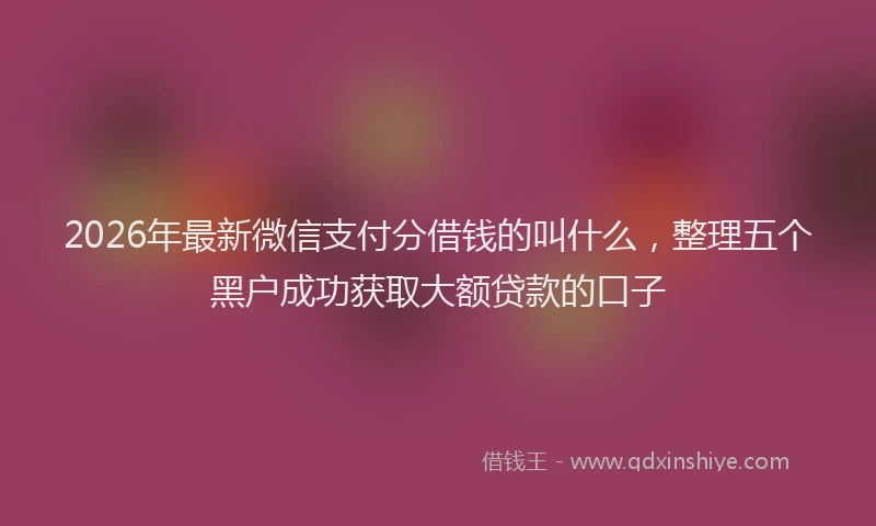 2026年最新微信支付分借钱的叫什么，整理五个黑户成功获取大额贷款的口子