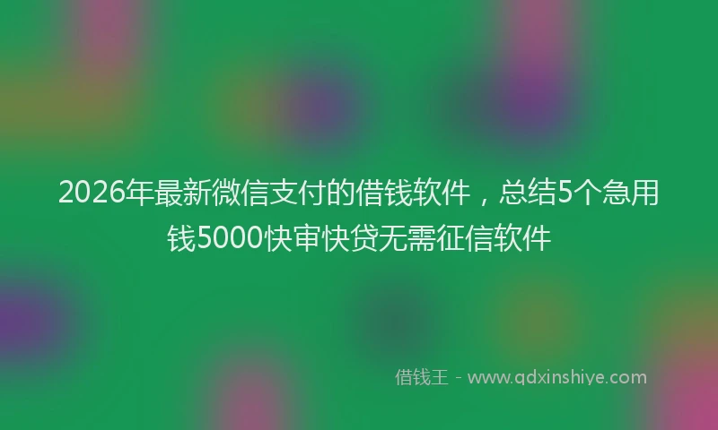 2026年最新微信支付的借钱软件，总结5个急用钱5000快审快贷无需征信软件