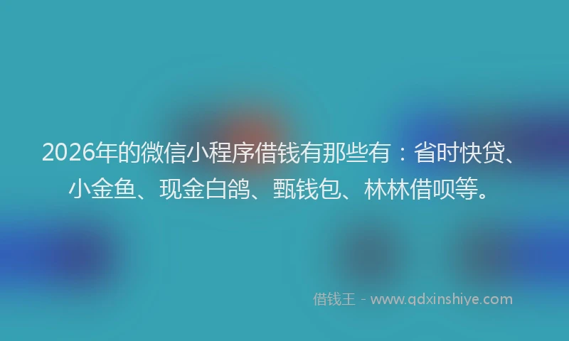 2026年的微信小程序借钱有那些有：省时快贷、小金鱼、现金白鸽、甄钱包、林林借呗等。