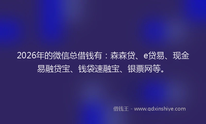 2026年的微信总借钱有：森森贷、e贷易、现金易融贷宝、钱袋速融宝、银票网等。
