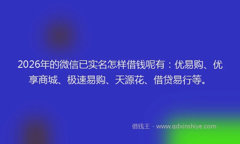 2026年的微信已实名怎样借钱呢有：优易购、优享商城、极速易购、天源花、借贷易行等。