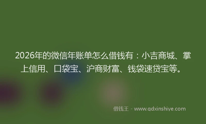 2026年的微信年账单怎么借钱有：小吉商城、掌上信用、口袋宝、沪商财富、钱袋速贷宝等。