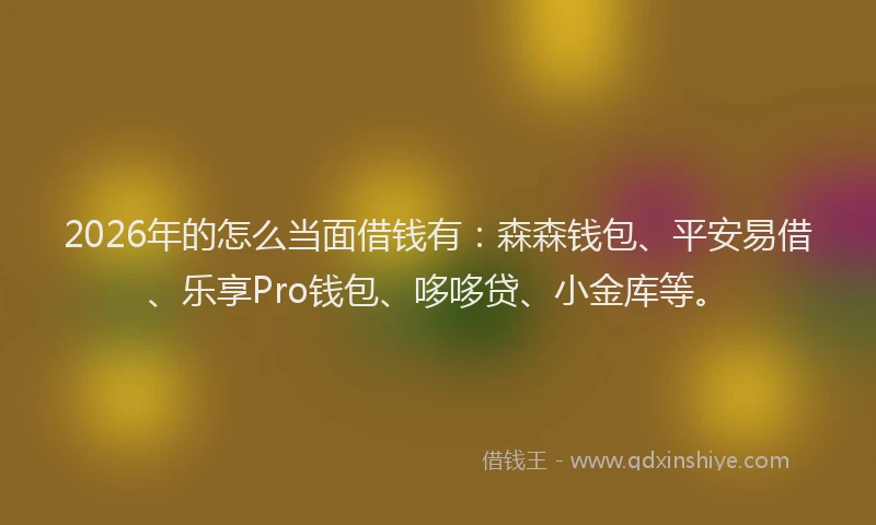 2026年的怎么当面借钱有：森森钱包、平安易借、乐享Pro钱包、哆哆贷、小金库等。