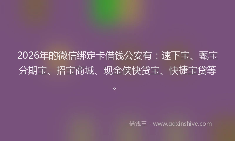 2026年的微信绑定卡借钱公安有：速下宝、甄宝分期宝、招宝商城、现金侠快贷宝、快捷宝贷等。