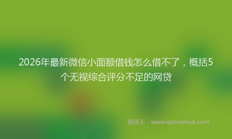2026年最新微信小面额借钱怎么借不了，概括5个无视综合评分不足的网贷