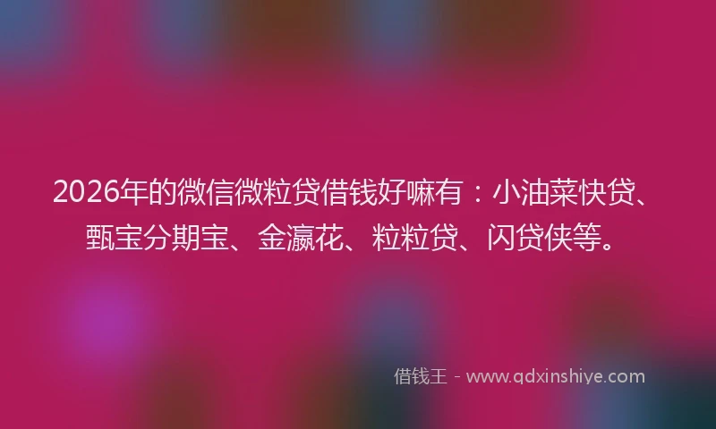 2026年的微信微粒贷借钱好嘛有：小油菜快贷、甄宝分期宝、金瀛花、粒粒贷、闪贷侠等。