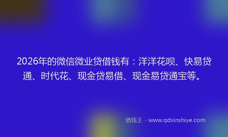 2026年的微信微业贷借钱有：洋洋花呗、快易贷通、时代花、现金贷易借、现金易贷通宝等。