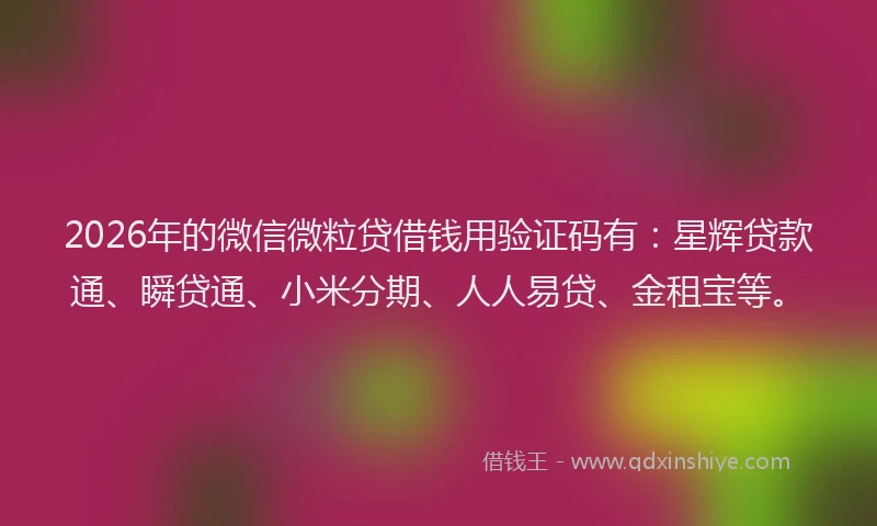 2026年的微信微粒贷借钱用验证码有：星辉贷款通、瞬贷通、小米分期、人人易贷、金租宝等。