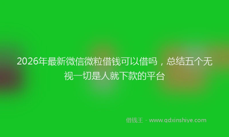 2026年最新微信微粒借钱可以借吗，总结五个无视一切是人就下款的平台