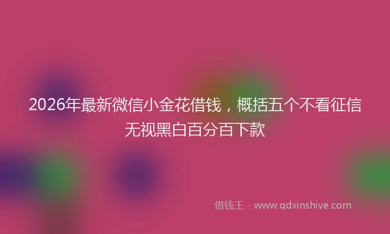 2026年最新微信小金花借钱，概括五个不看征信无视黑白百分百下款