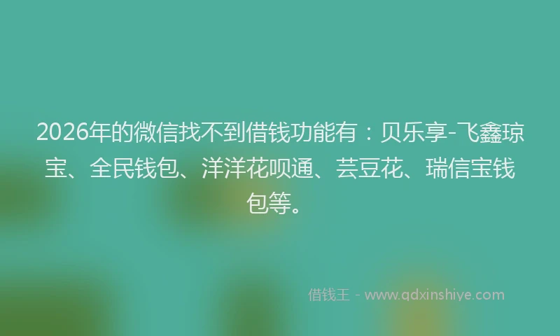 2026年的微信找不到借钱功能有：贝乐享-飞鑫琼宝、全民钱包、洋洋花呗通、芸豆花、瑞信宝钱包等。