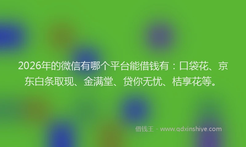 2026年的微信有哪个平台能借钱有：口袋花、京东白条取现、金满堂、贷你无忧、桔享花等。