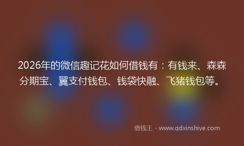 2026年的微信趣记花如何借钱有：有钱来、森森分期宝、翼支付钱包、钱袋快融、飞猪钱包等。