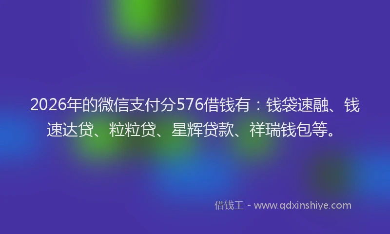 2026年的微信支付分576借钱有：钱袋速融、钱速达贷、粒粒贷、星辉贷款、祥瑞钱包等。