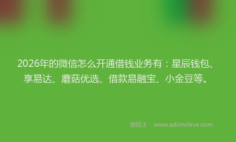2026年的微信怎么开通借钱业务有：星辰钱包、享易达、蘑菇优选、借款易融宝、小金豆等。