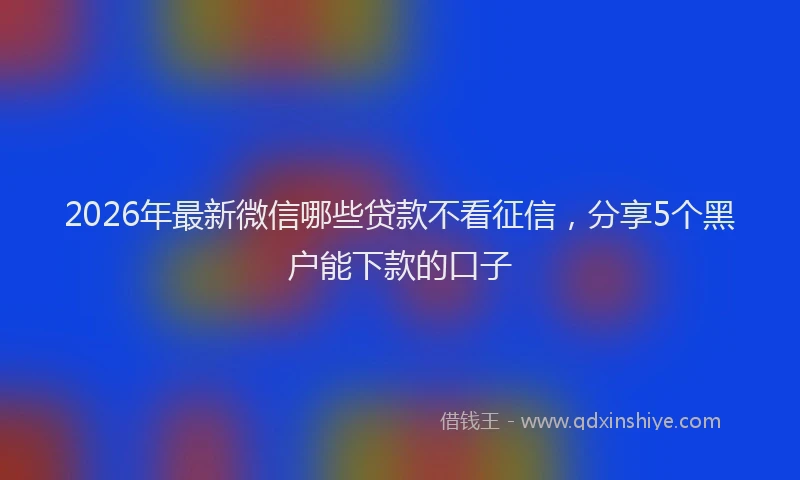 2026年最新微信哪些贷款不看征信，分享5个黑户能下款的口子